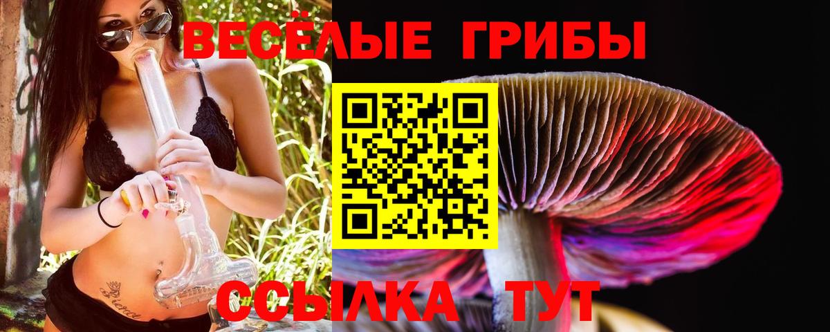 Галлюциногенные грибы прущие грибы Саяногорск